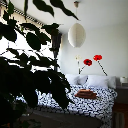 Apartment Melon *